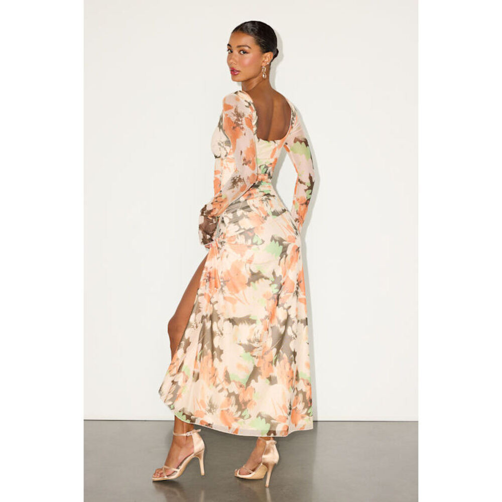 Lulus Catlin Cream Multi Floral Mesh Long Sleeve Maxi Dress White - Size M